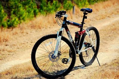 genesis-v2100-mountain-bike